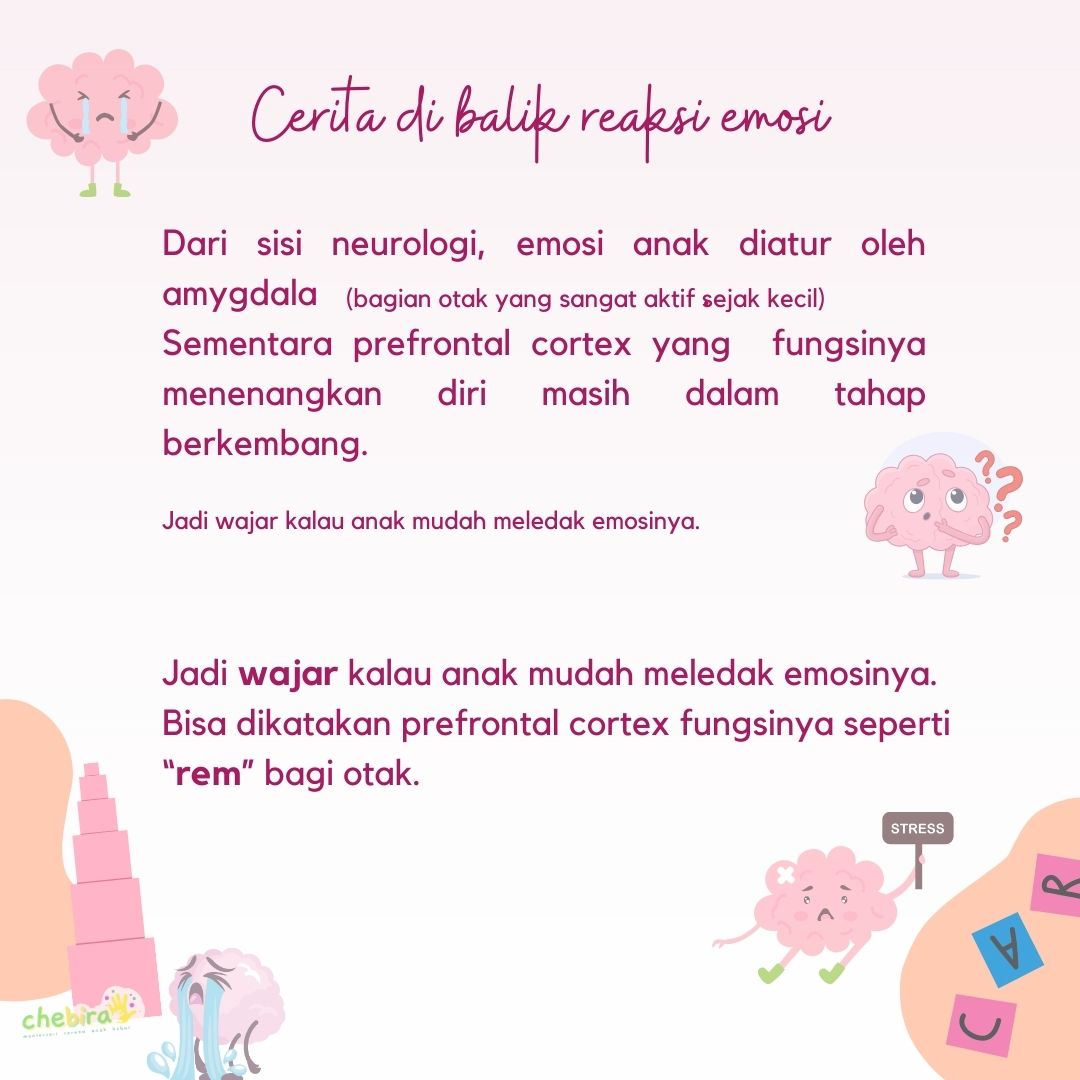 Kadang nangis. Kadang marah. Kadang ngakak. 2