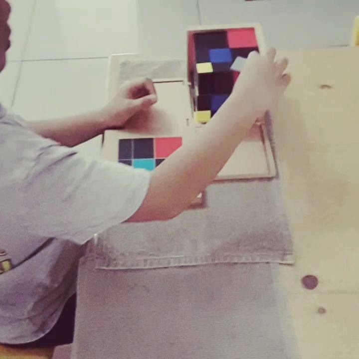 Trinomial The child assembles a three-dimensional puzzle
